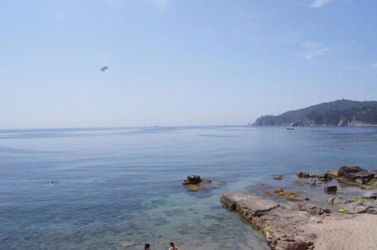 Playa Canadell Mar G Primera Linea De Mar Con Terraza Calella De Palafrugell