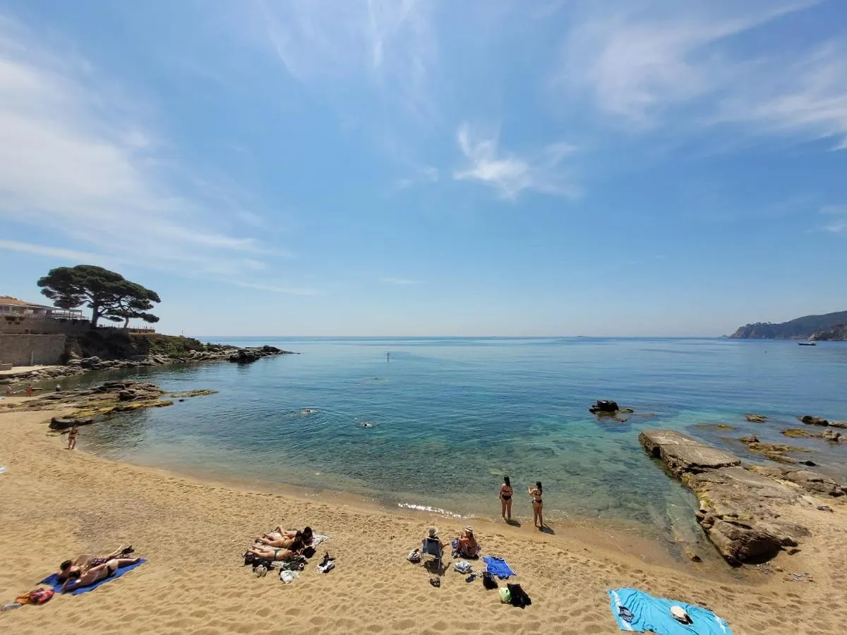 Playa Canadell Mar G Primera Linea De Mar Con Terraza Calella De Palafrugell 0*,