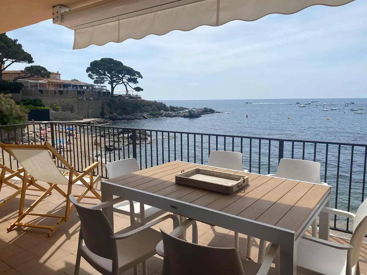 Apartment Playa Canadell Mar G Primera Linea De Mar Con Terraza Calella De Palafrugell