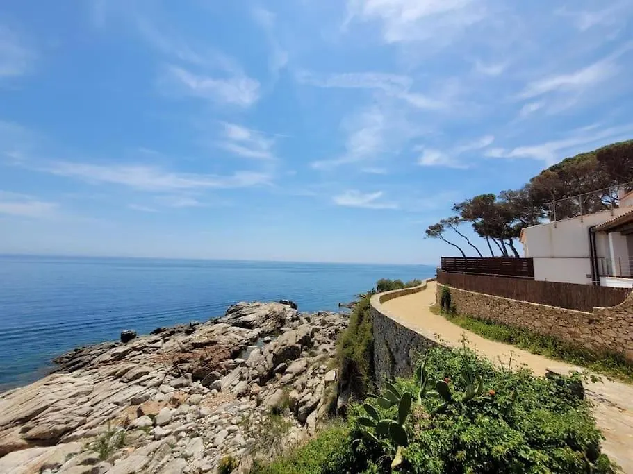 Apartment Playa Canadell Mar G Primera Linea De Mar Con Terraza Calella De Palafrugell Spain