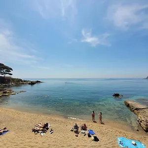 Playa Canadell Mar P Primera Línea De Mar Con Terraza Apartamento